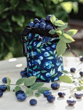 🫐 Borůvková mise: pamlsky vždy po ruce!k🫐 Náš pamlskovník ve vzoru Borůvka je barevný, odolný a hlavně praktický....