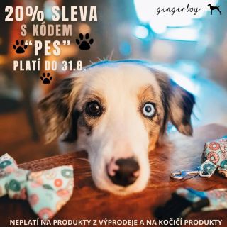 🐾 26. srpna slavíme Mezinárodní den psů! Den všech čtyřnohých parťáků, kteří nás milují bez podmínek a dívají se na nás,...