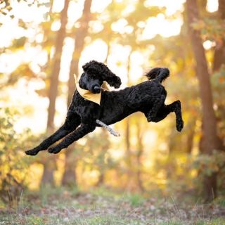 Září je tu a my do něj skáčeme s radostí i novou energií. Podzim sice přináší kratší dny, ale u nás bude barevnější než...