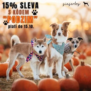 🍂 První podzimní den je tady a s ním i naše speciální nabídka. Váš čtyřnohý model si zaslouží styl i na podzimních...
