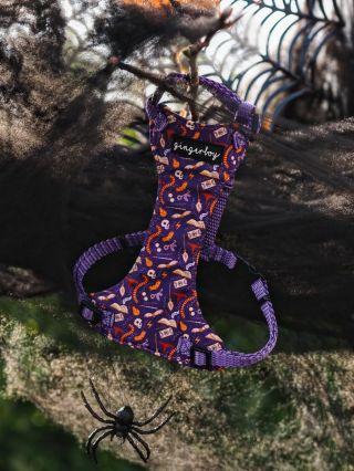 Proč by jen psi měli mít styl, že jo? 😏 Kočičí postroj s náprsenkou – ušitý přesně pro vaši číču. Vyberte si látku, barvu...