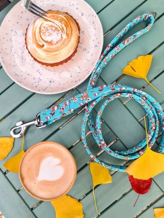 Kafe v ruce, pes po boku, match made in heaven ☕🐾 Náš podzimní design LATTE ladí k vašemu pumpkin spice latéčku i k psímu...