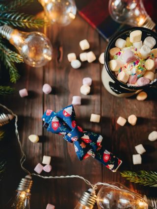 VÁNOČNÍ ČOKOLÁDA — která zahřeje i v tom největším psím nečase Kdyby zima měla svůj nejlepší outfit, vypadal by přesně...