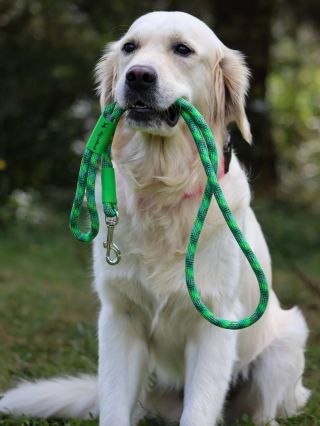 Lanová vodítka Gingerboy Někdy je to fakt jednoduché. Chceš vodítko, co dobře sedí do ruky (žádné pálivky, žádné tvrdé...