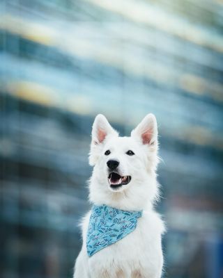 Vybrala jsem tuto fotografii, za kterou děkuji @mrackova.foto, zcela záměrně. Je pro mě symbolikou rychlé jízdy, kterou...